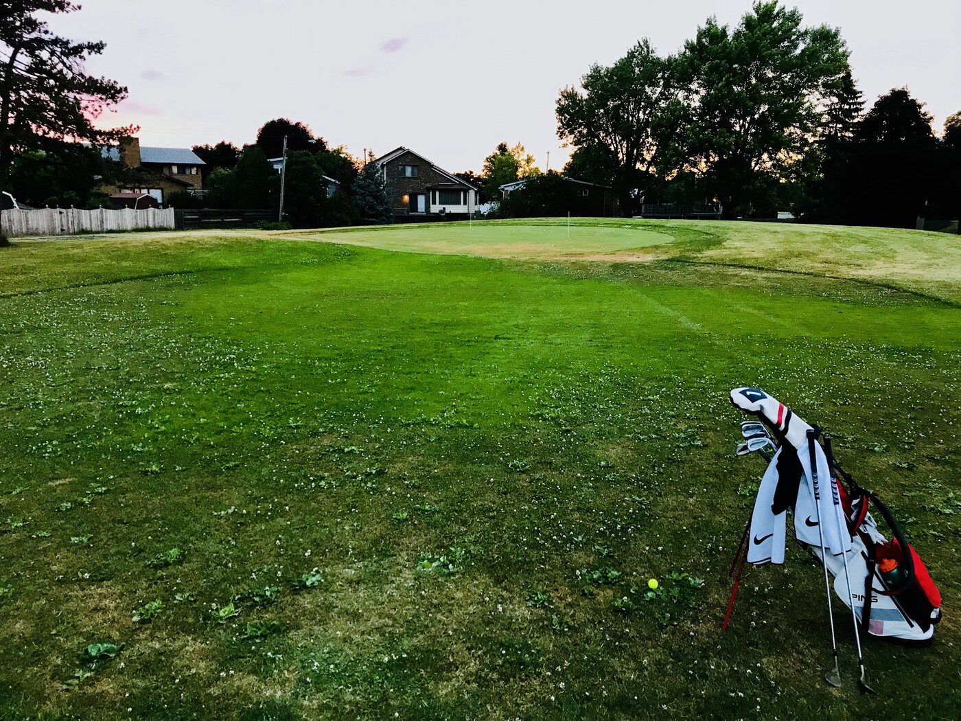 Evening nine